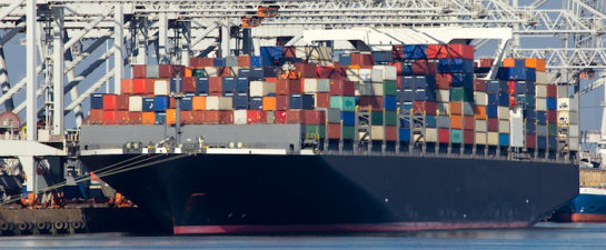profile-shipping-1